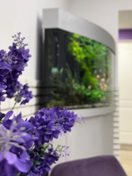 Фото компании  Алтеро на Арбате 1