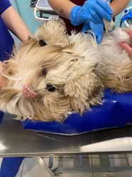 Фото компании  «Искра жизни» 9