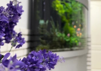 Фото компании  Алтеро на Арбате 1