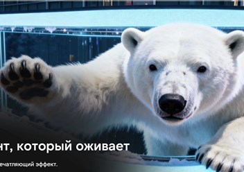 Фото компании ООО +LED 5