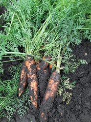 Фото компании КАТ "Азур-Нива" 4