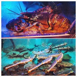 Фото компании  Palau Fish, ресторан 21