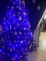 Фото компании  Маленькая Венеция, ресторан итальянской кухни 23