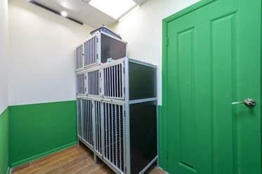 Фото компании  «Искра жизни» 5