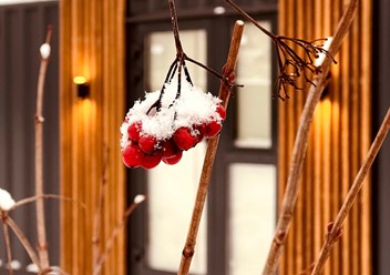 Фото компании ООО 33 квадратных метра 3