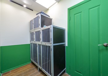 Фото компании  «Искра жизни» 5