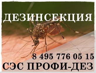 #дезинфекция 
#уничтожениеклопов 
#дезинсекция 
#уничтожениеклопов 
#уничтожениенасекомых 
#дезинсекцияколомна 
#дезинфекцияколомна 
#уничтожениекомаровколомна 
#уничтожениеклоповколомнепрофидез
