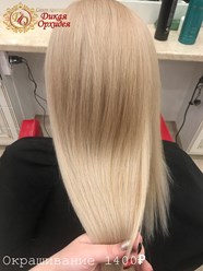 Фото компании  Дикая Орхидея 5