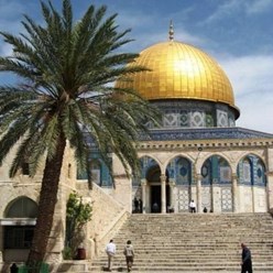 Фото компании ООО Аnanta trip 5