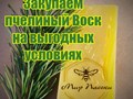 Фото компании  Мир Пасеки 1