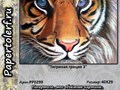 Набор для творчества в технике Папертоль "Тигриная грация 3", р. 40*29