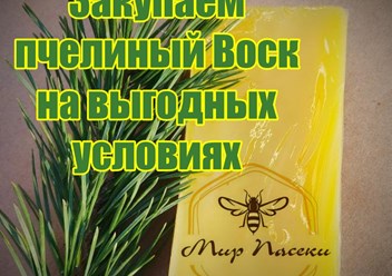 Фото компании  Мир Пасеки 1