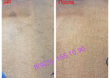 Фото компании  "Сhistka - ruza" Химчистка мебели и ковров в Можайске 4