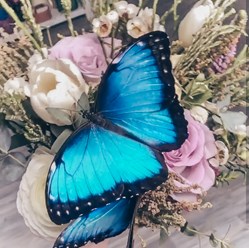 Фото компании ИП Морфида 1