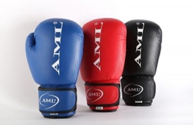 Боксерские Перчатки AML Sport PVC цена 1990 руб