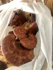 Рейши, 3800 р/кг