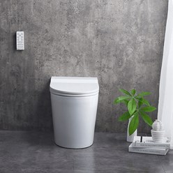 Умный унитаз-биде Brunnen Wal BW-2402 Auto open/close