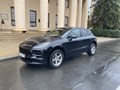 Фото компании ООО ProCARt-Club 3