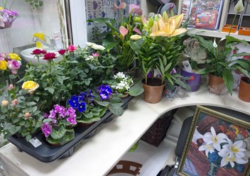 Фото компании  Мастерская Цветов 4