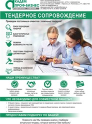 Тендерное сопровождение
