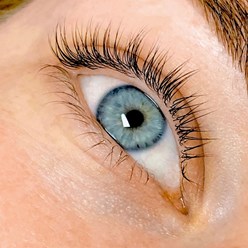 Фото компании  Добрый бровист 10