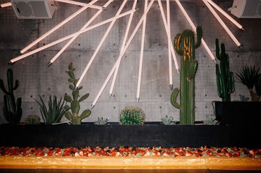 Фото компании  Flava Event Dom 15