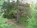 Фото компании ООО Ивановские бани 5