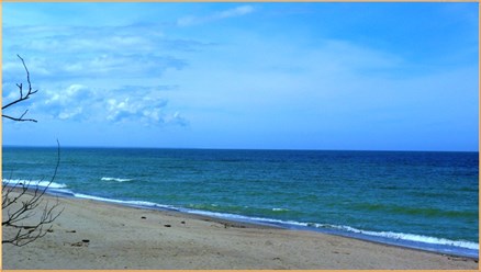 Фото компании ИП Гостевой дом Понарт 9