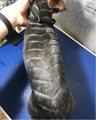 Фото компании  Зоосалон Мон Ами 31