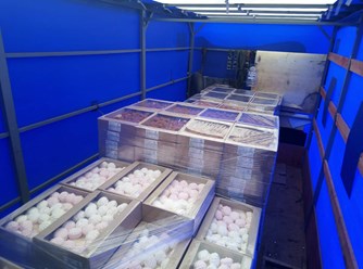 Фото компании ООО Транс-Лига 33