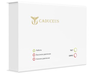 Устройство диспетчеризации кислородного газификатора CADUCEUS