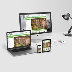 Разработка интернет-магазинов.