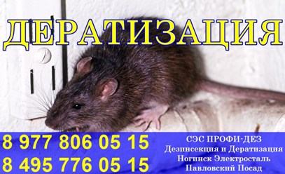 Фото компании ООО Профи - Дез 4