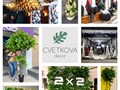 Cvetkova Decor - Искусственные Растения для Интерьера