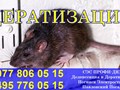 Фото компании ООО Профи - Дез 4