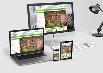 Разработка интернет-магазинов.