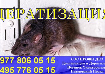 Фото компании ООО Профи - Дез 4