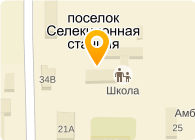 Поселок селекция нижний новгород карта