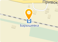 Baryshevka.NET, Быстров В.В., СПД