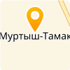  МБОУ "МУРТЫШ-ТАМАКСКАЯ ООШ"