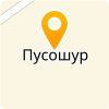 МОУ "ПУСОШУРСКАЯ СОШ"