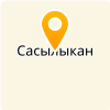  МБОУ "САСЫЛЫКАНСКАЯ ООШ"