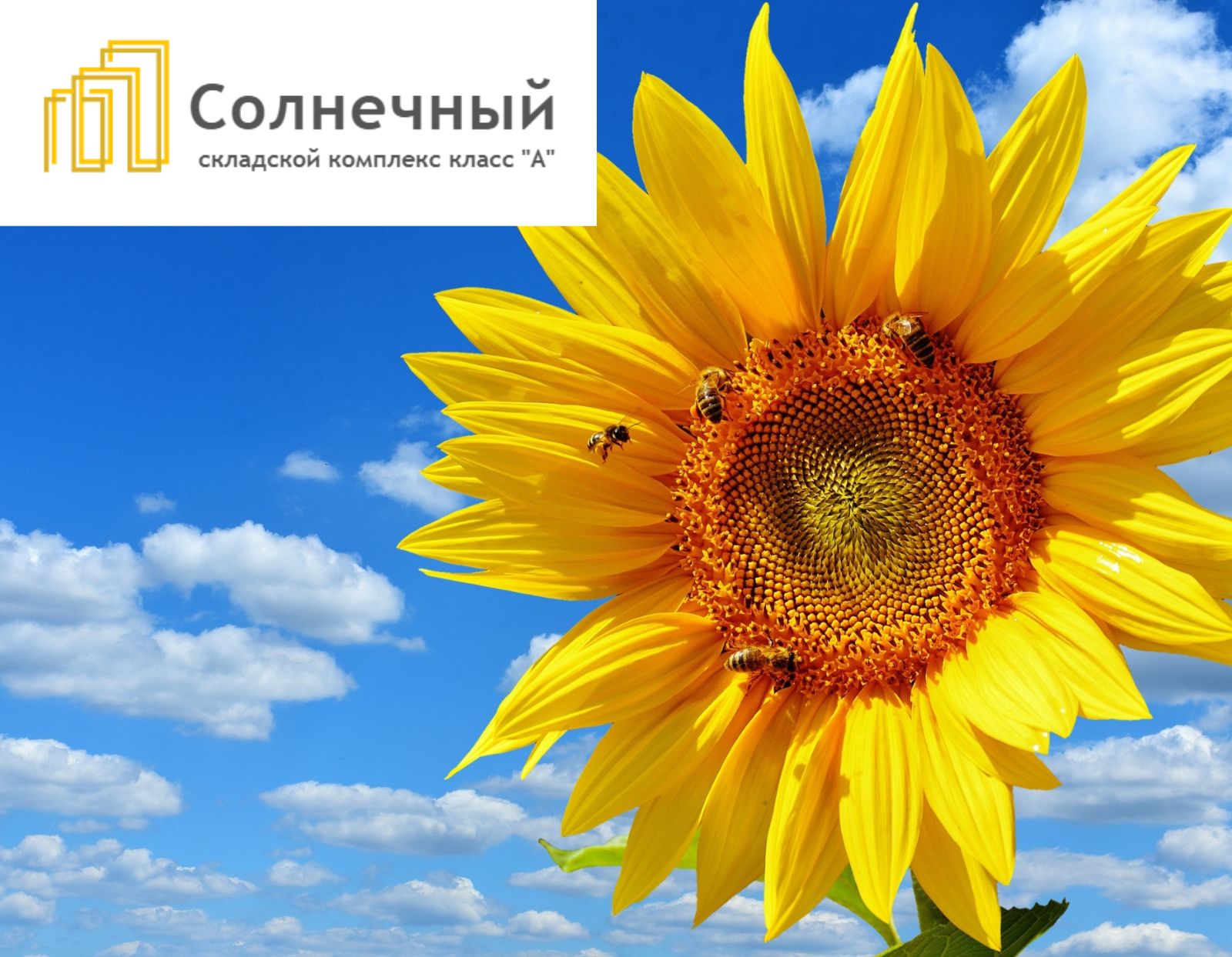 Изображение новости