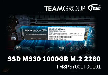 SSD TeamGroup MS30 1000GB M.2 2280
