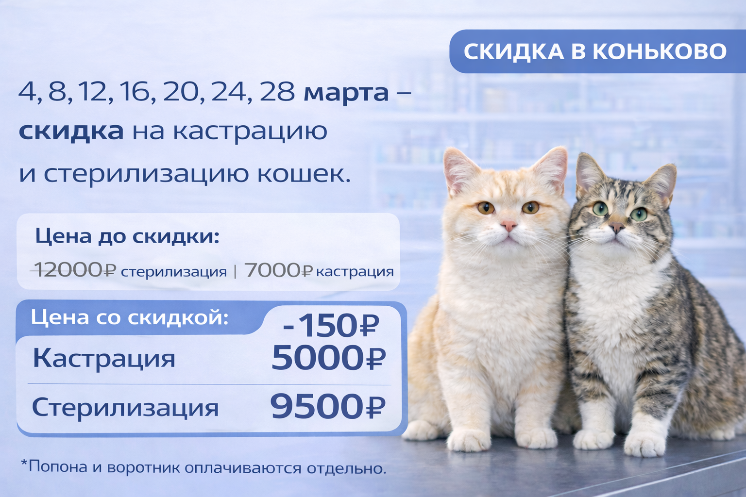 Изображение новости