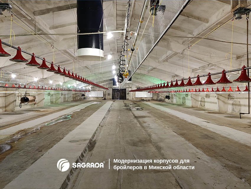 Изображение новости