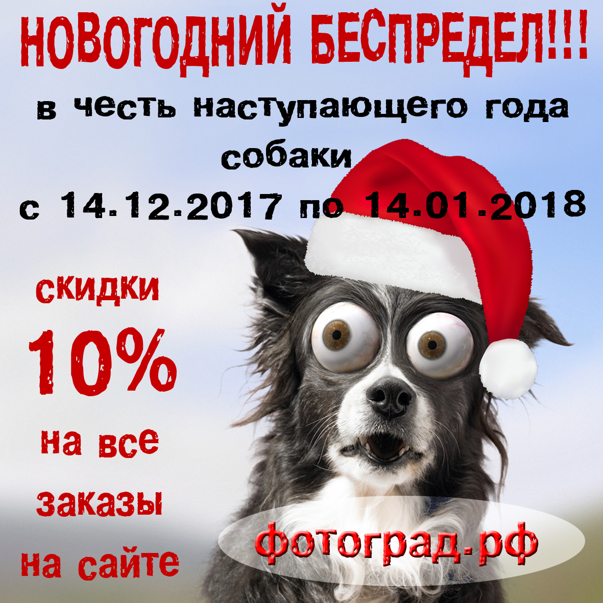 Изображение новости