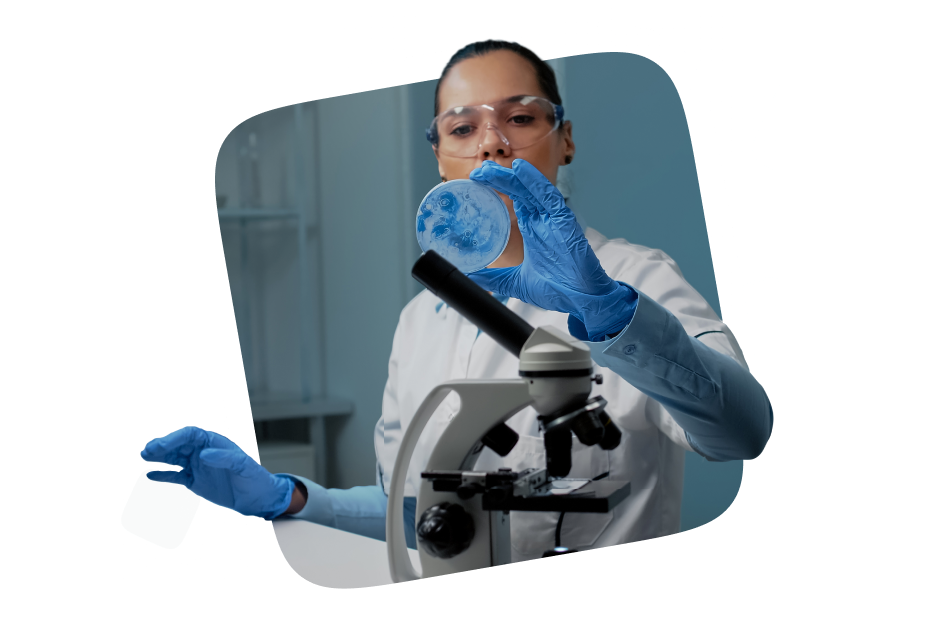 Изображение новости