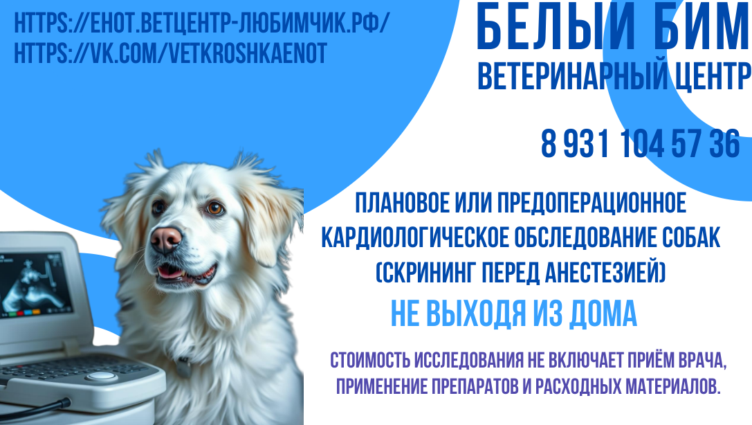 Изображение новости