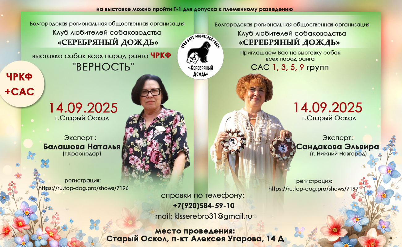 Изображение новости